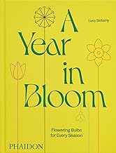 8124oElyv4L._AC_UY218_