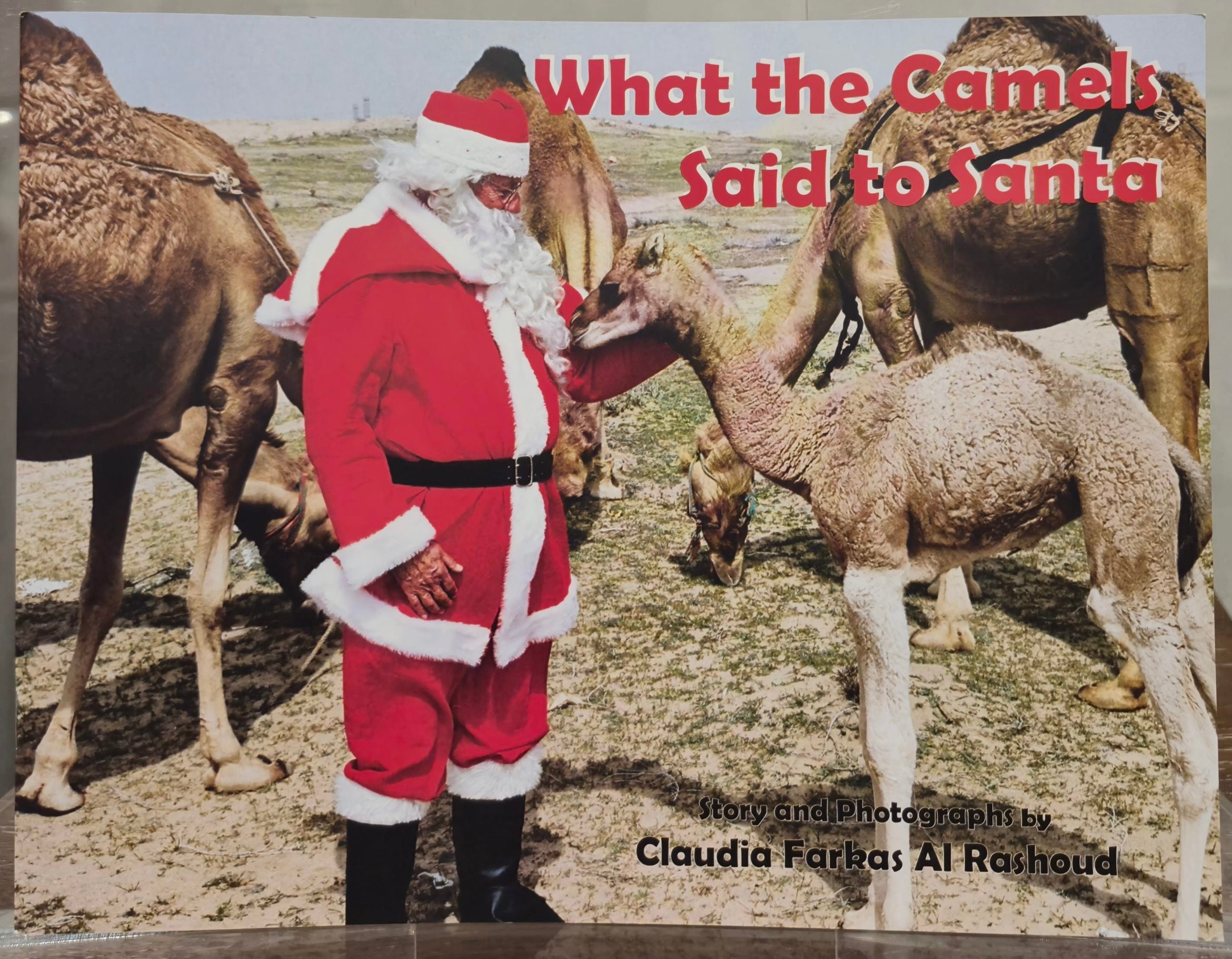 Said to Santa (Claudia)