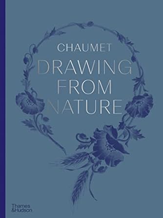 41BW0+e3kDL._SY445_SX342_