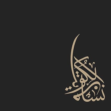 61foFVdMN8L._SY425_