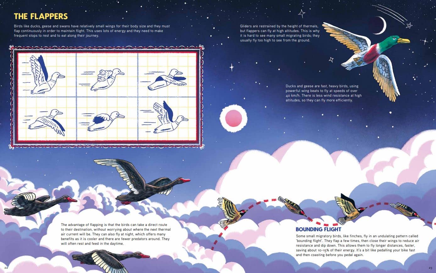 Epic Animal Journeys: Navigation and Migration by Air, Land, and Sea