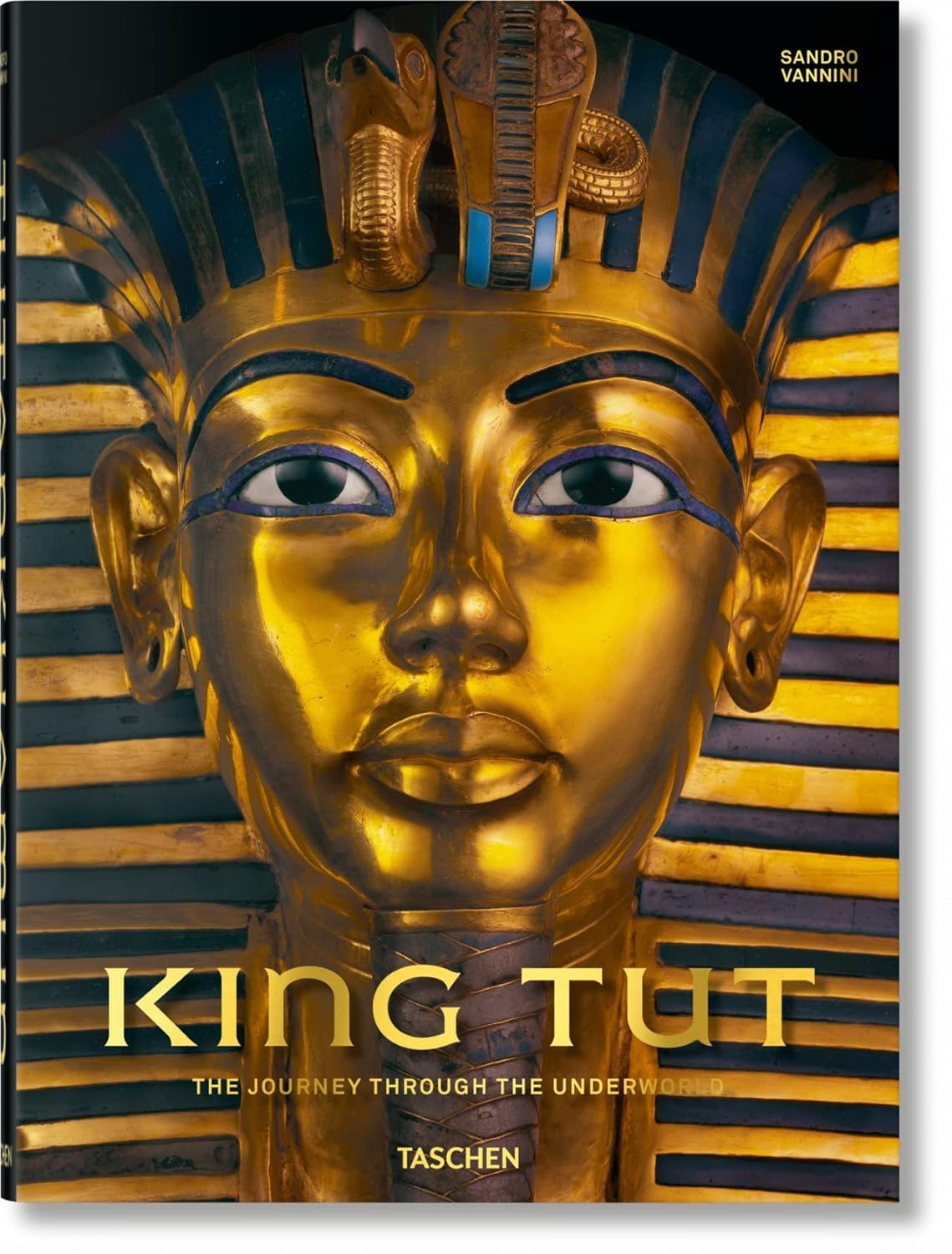 718T0RtVUPL._SL1500_