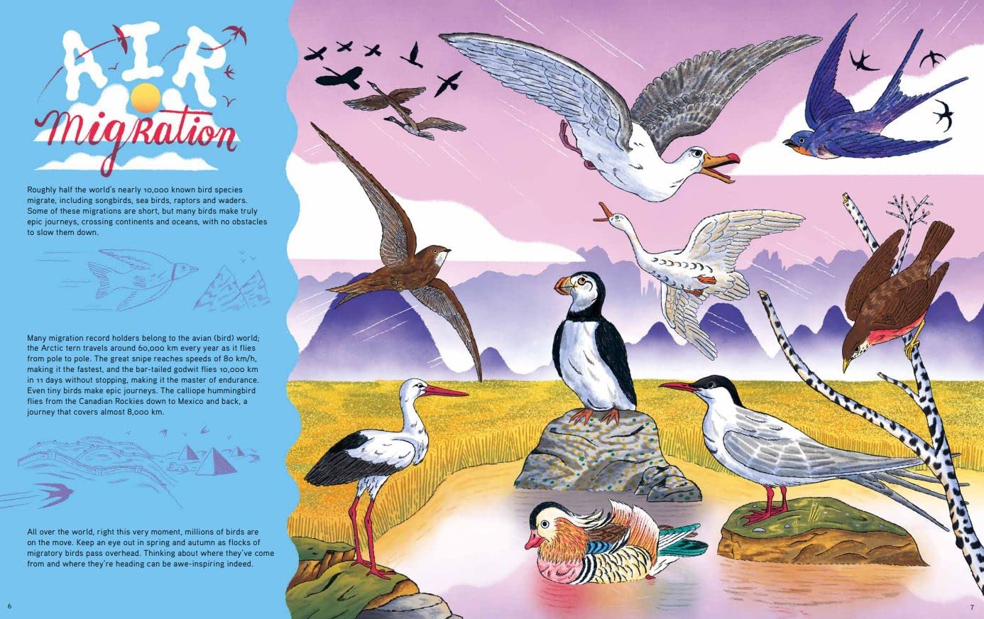 Epic Animal Journeys: Navigation and Migration by Air, Land, and Sea