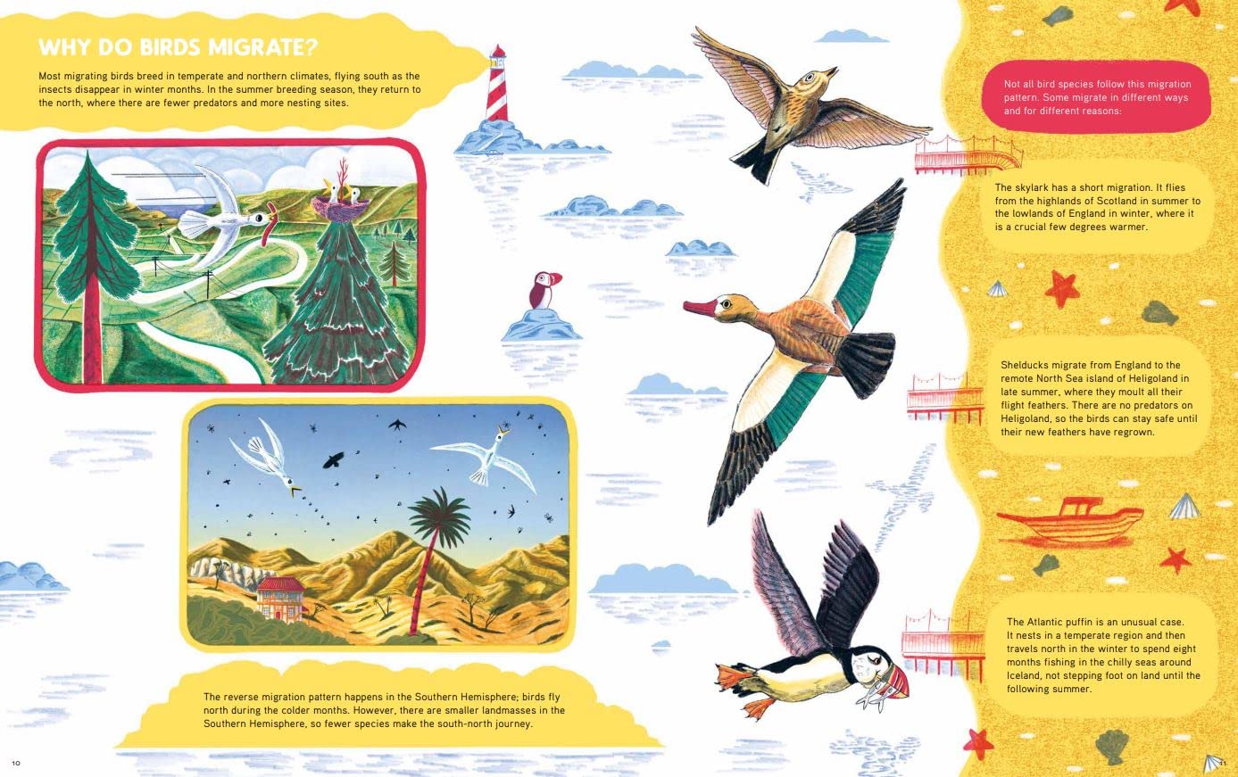 Epic Animal Journeys: Navigation and Migration by Air, Land, and Sea