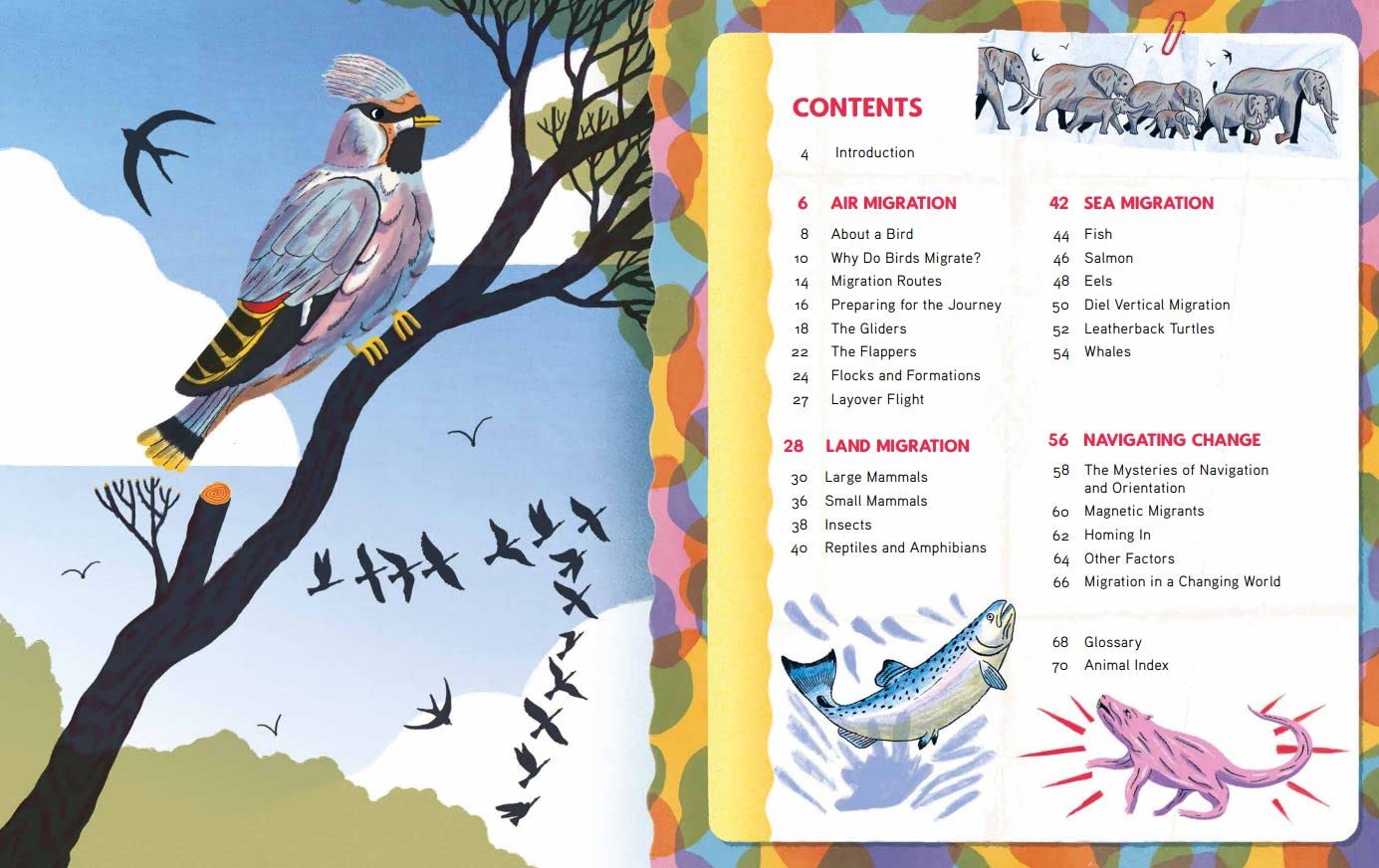 Epic Animal Journeys: Navigation and Migration by Air, Land, and Sea