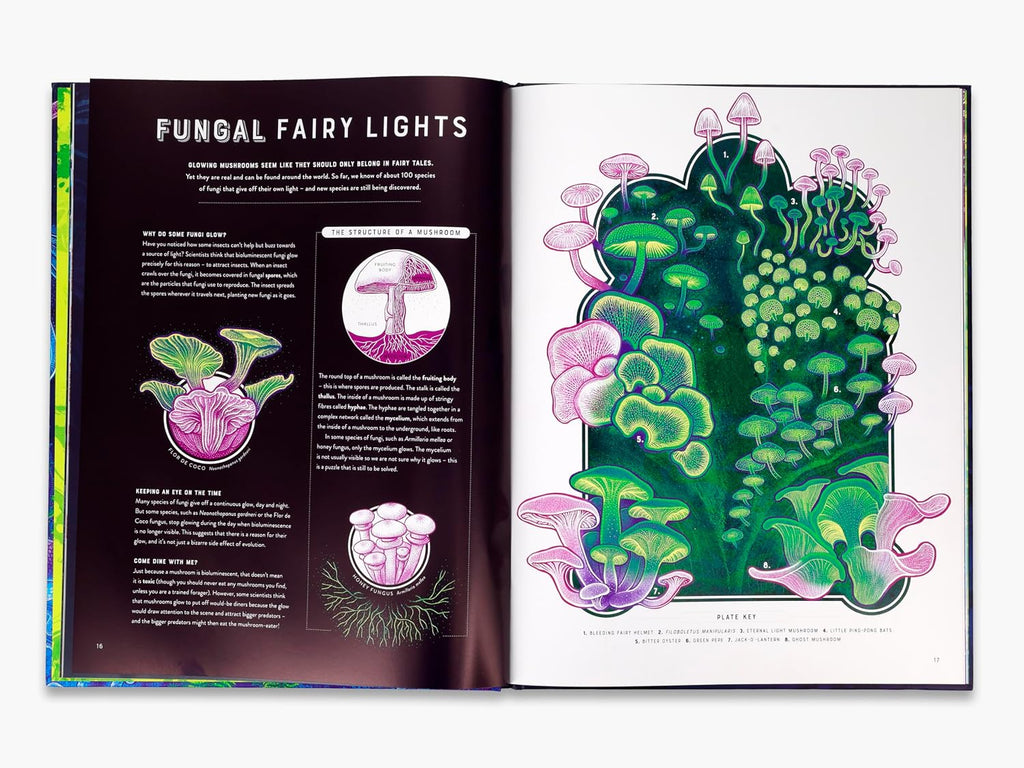 Glow: The Wild Wonders of Bioluminescence