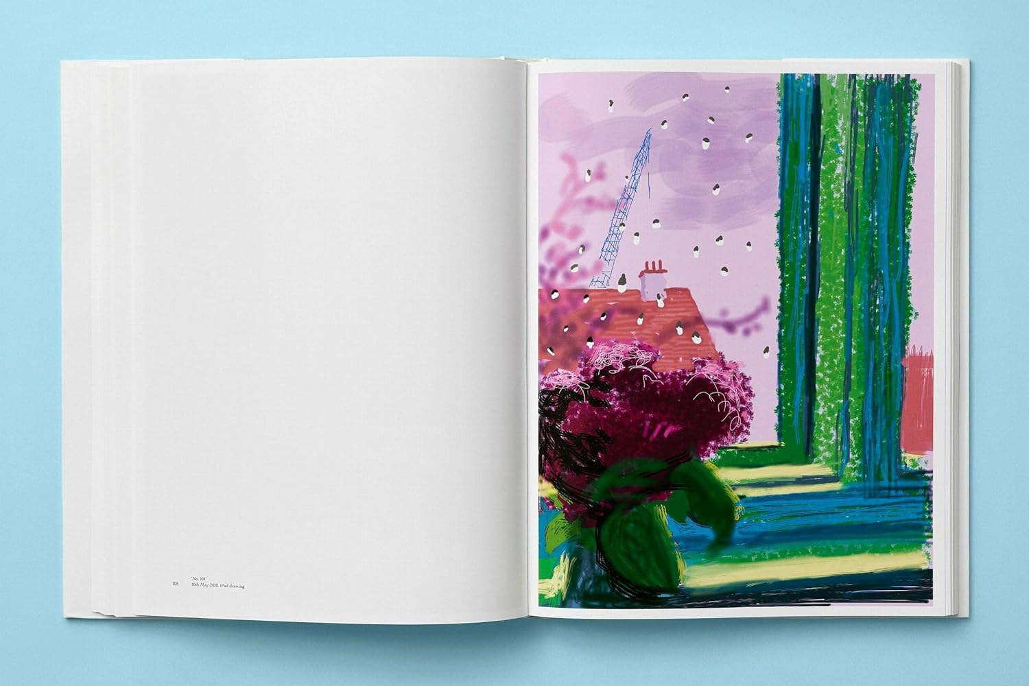 David Hockney: My Window