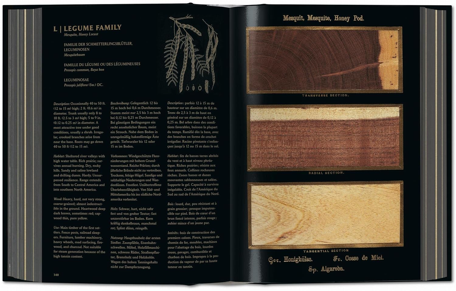 Romeyn B. Hough the Woodbook: The Complete Plates