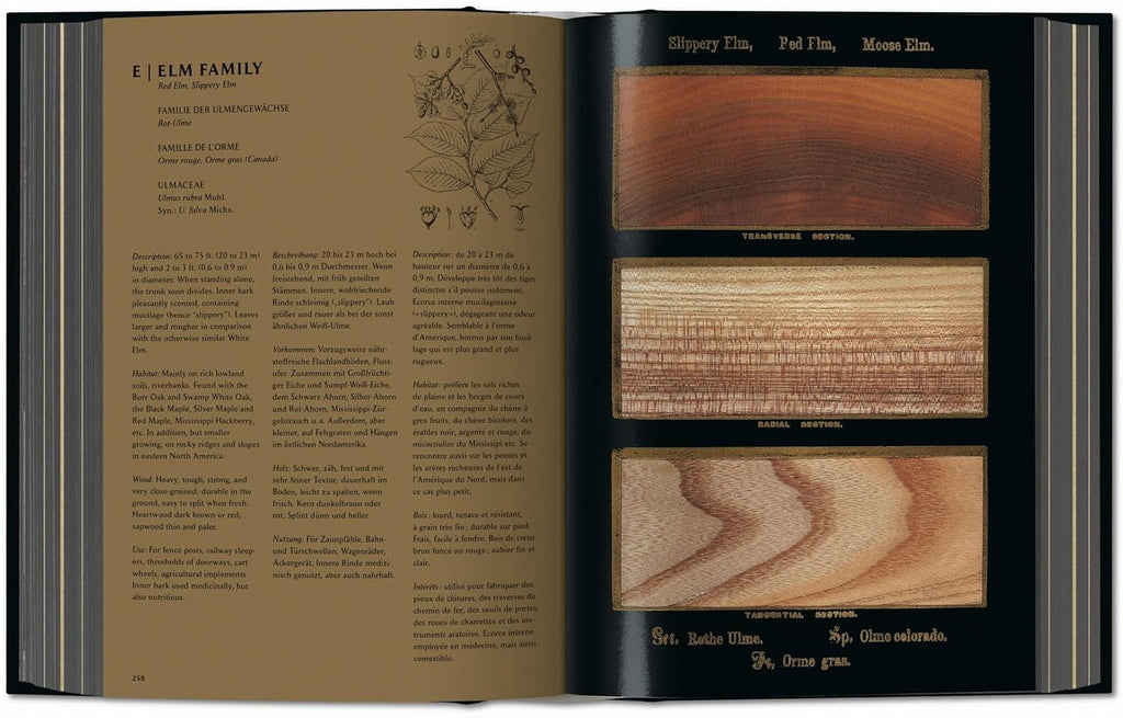 Romeyn B. Hough the Woodbook: The Complete Plates