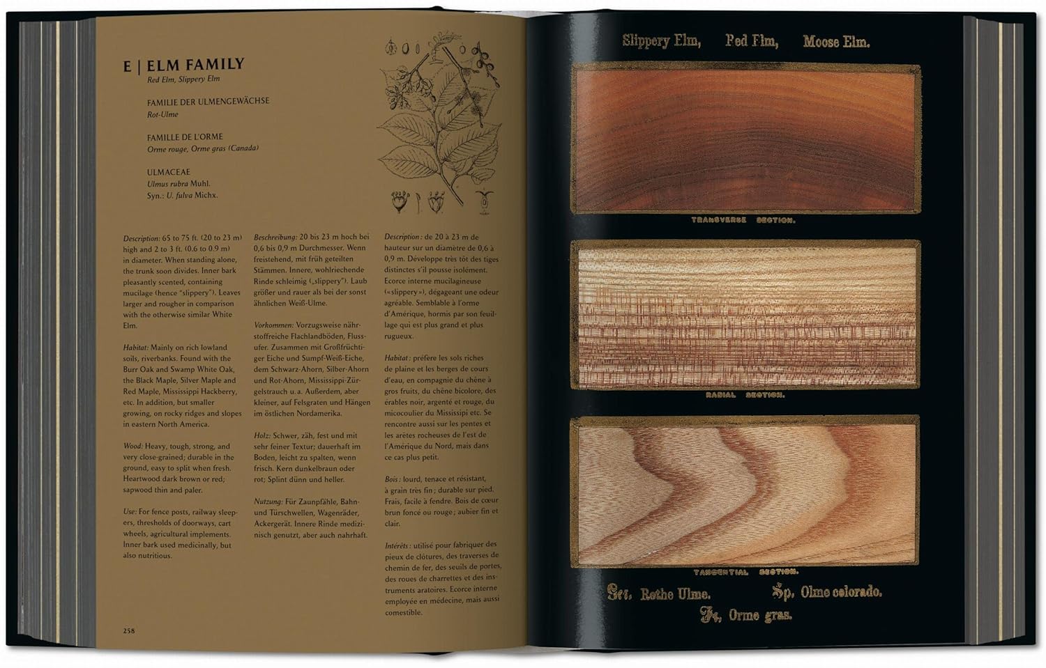 Romeyn B. Hough the Woodbook: The Complete Plates