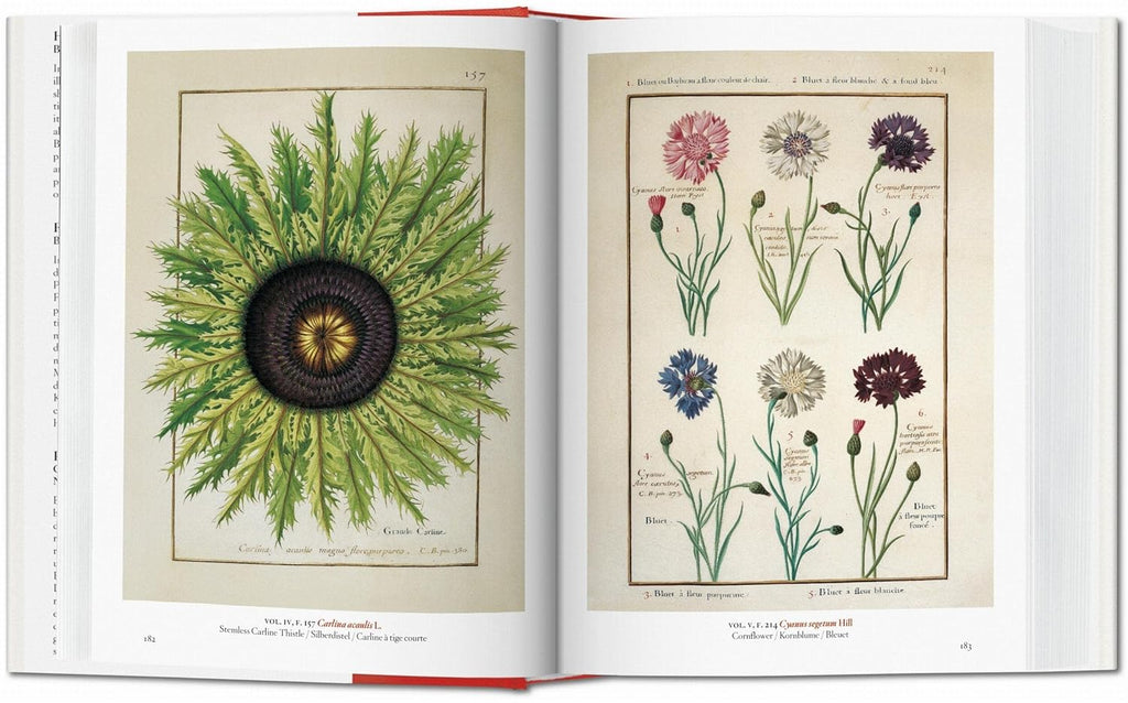 A Garden Eden. Masterpieces of Botanical Illustration. 40th Ed