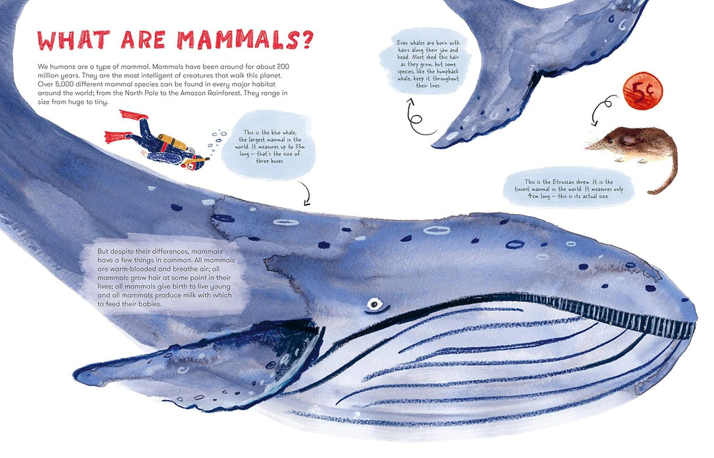 Mama Mammals: Reproduction and Birth in Mammals