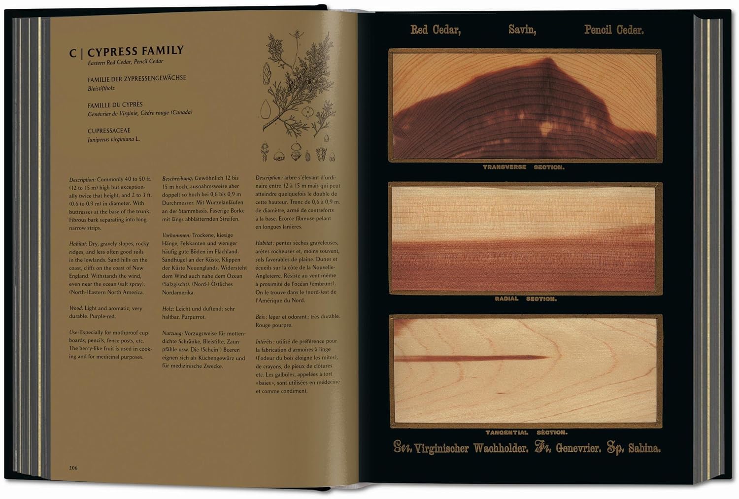 Romeyn B. Hough the Woodbook: The Complete Plates
