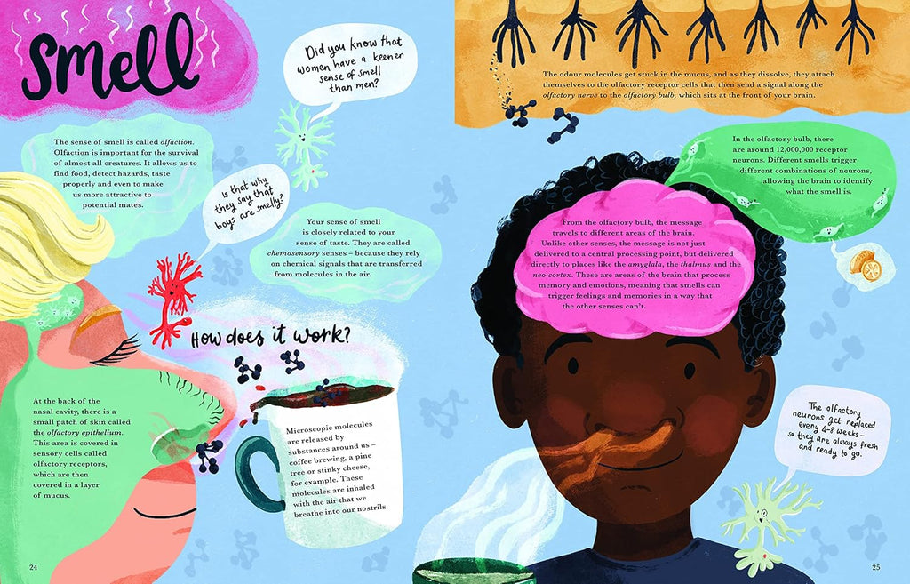 Cat Eyes and Dog Whistles: The Five Seven Senses of Humans and Other Animals
