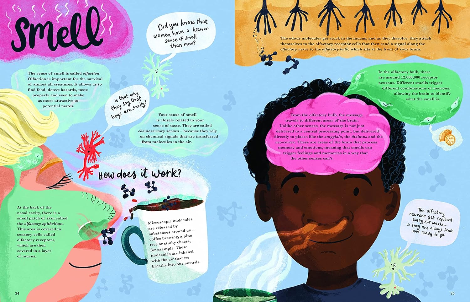 Cat Eyes and Dog Whistles: The Five Seven Senses of Humans and Other Animals