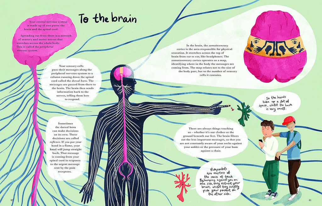 Cat Eyes and Dog Whistles: The Five Seven Senses of Humans and Other Animals