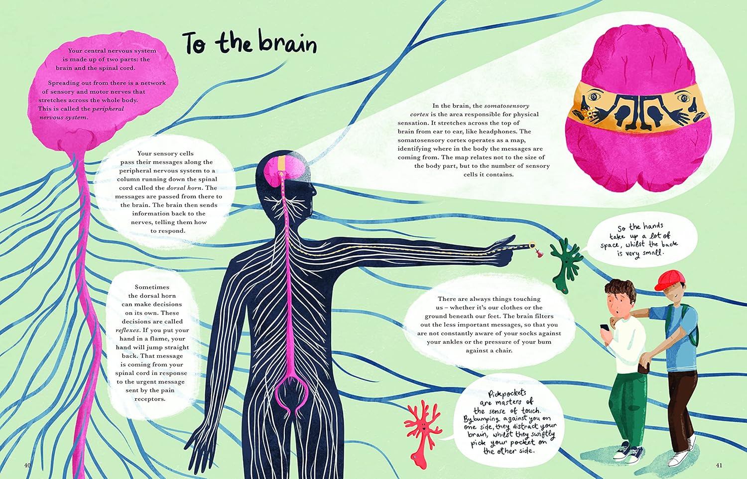 Cat Eyes and Dog Whistles: The Five Seven Senses of Humans and Other Animals
