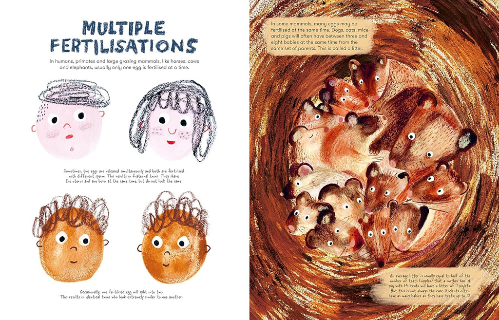 Mama Mammals: Reproduction and Birth in Mammals