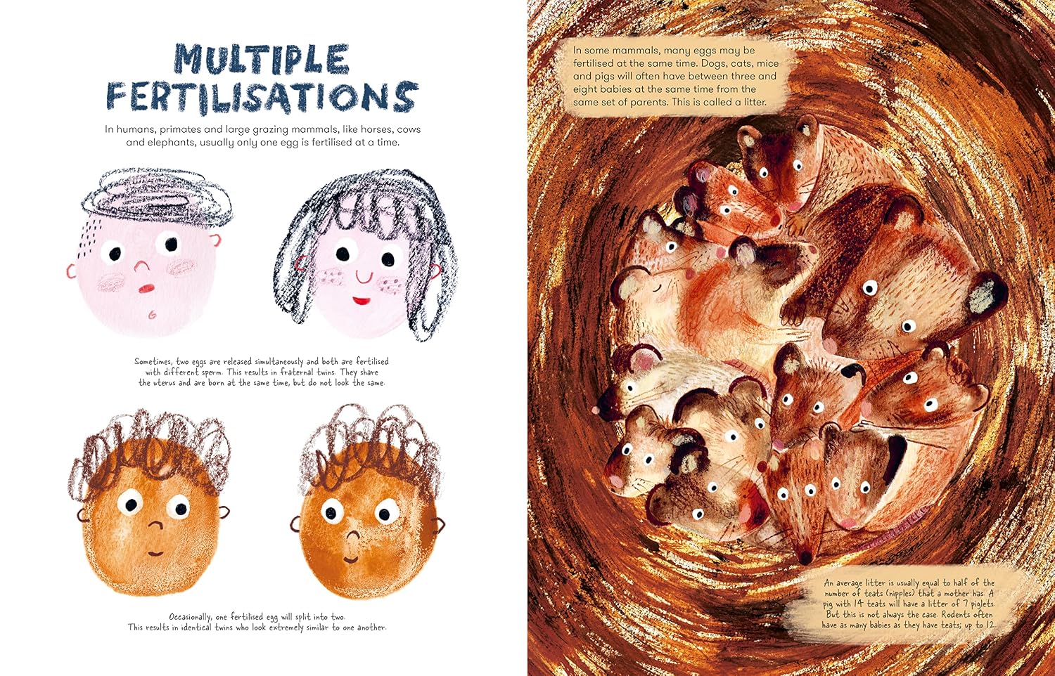 Mama Mammals: Reproduction and Birth in Mammals