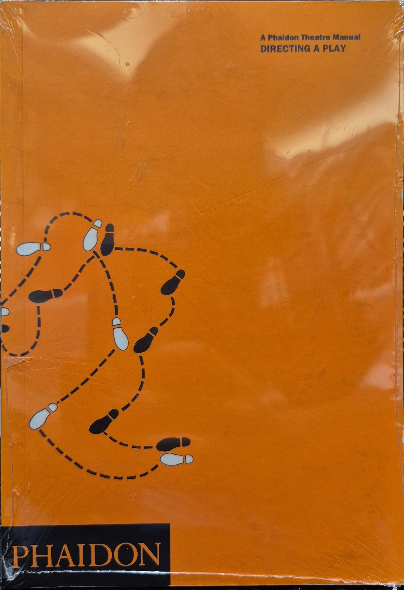 Directing a Play (Schirmer Books Theatre Manuals
