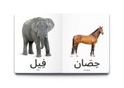 Animals -Book